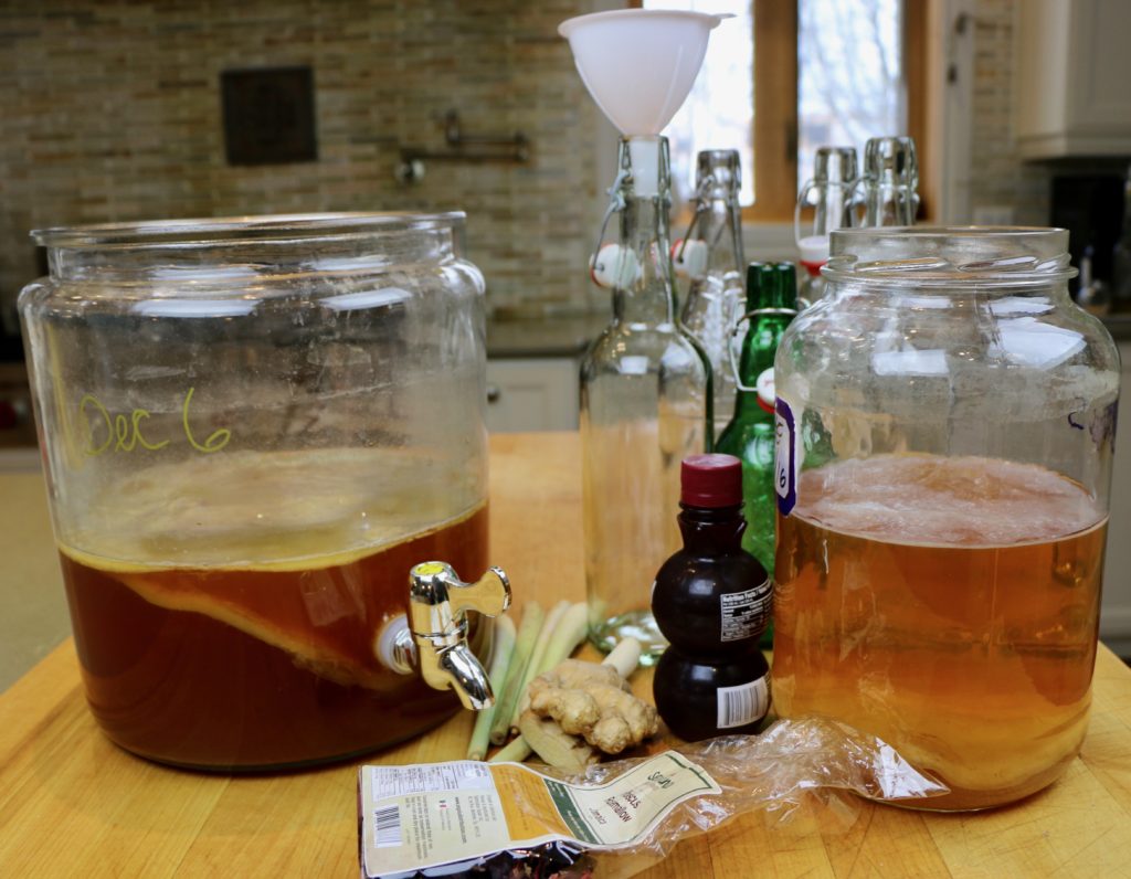 Kombucha: benefits and harms to the body