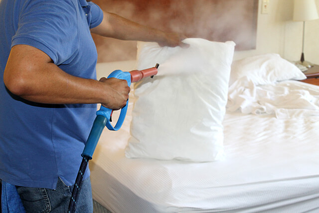 Bedbug steam generator - device efficiency, how to use