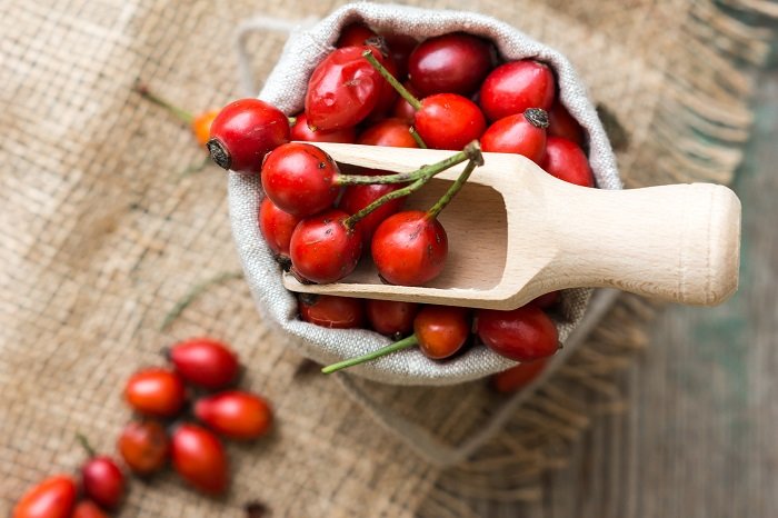 Can rose hips be given to children for immunity, from what age