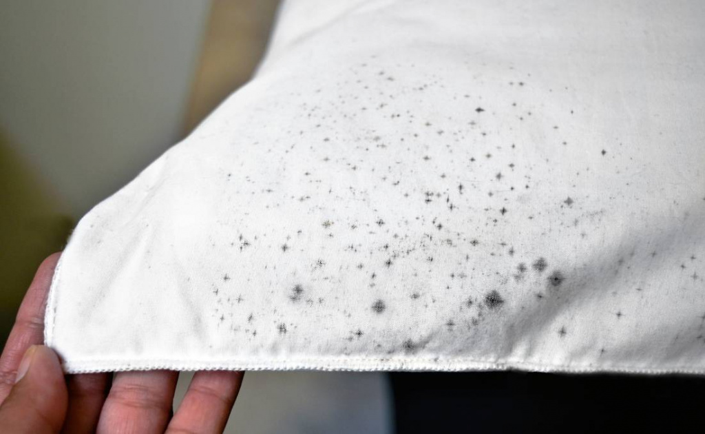 How to remove mold from fabric at home