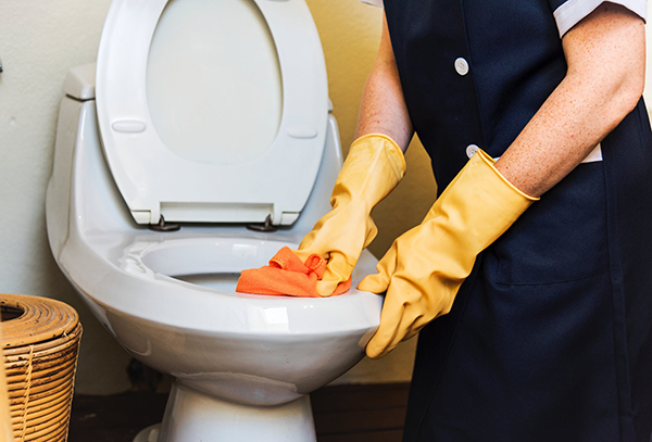 How to clean the toilet from rust using household chemicals and improvised means