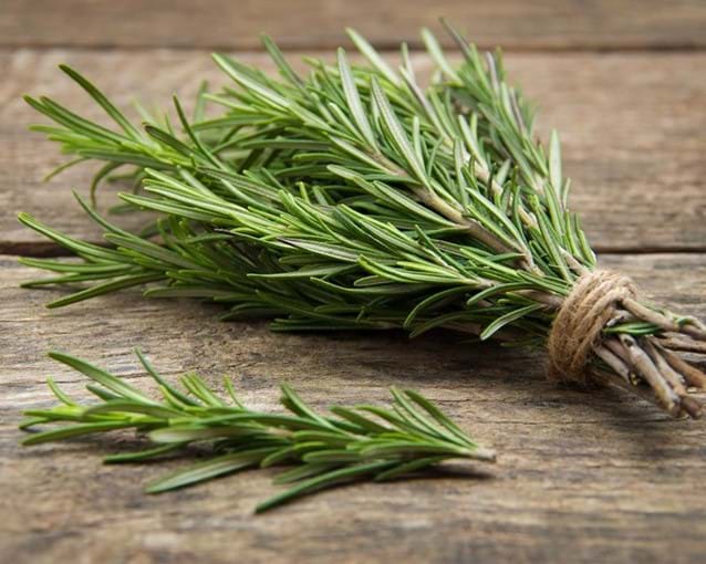 Rosemary: useful properties, use in cosmetics and cosmetology, contraindications
