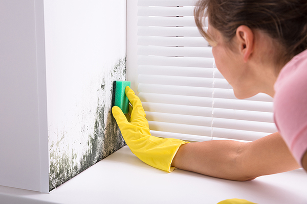 How to remove mildew smell