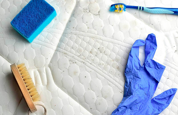How to remove mold from fabric at home