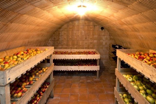 How to store apples in the refrigerator