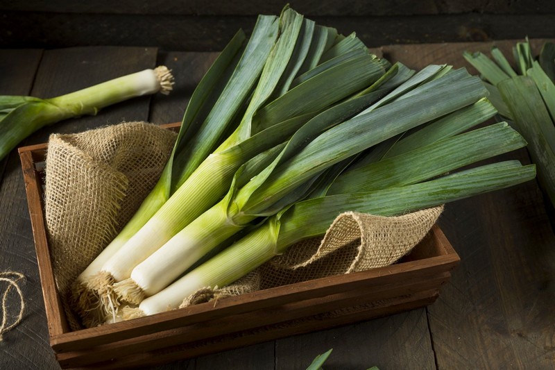 How to store leeks at home for a long time